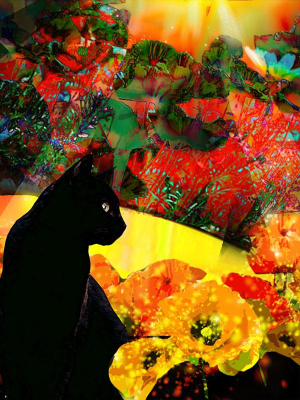 Illustration of a black cat with poppies.