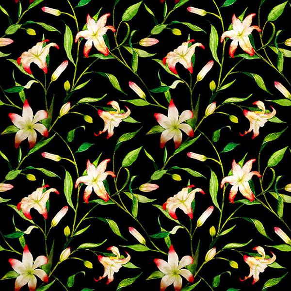 Lily flower.